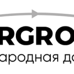 Международные грузоперевозки от MTRGROUP.